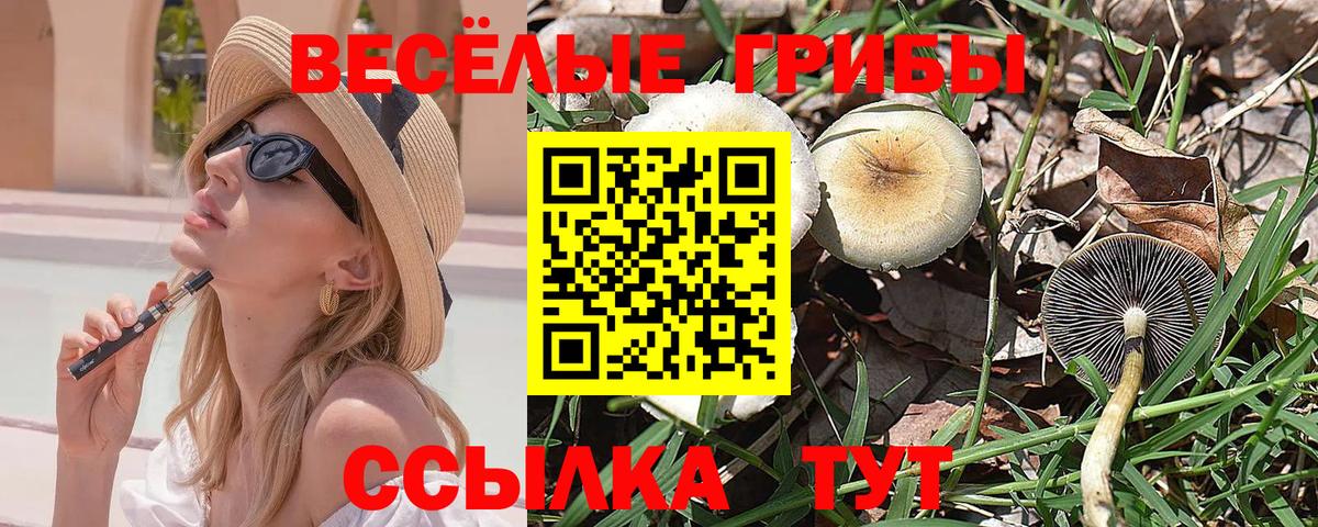 купить закладку  Вход с VPN  Галлюциногенные грибы GOLDEN TEACHER  Обнинск  Псилоцибиновые грибы Magic Shrooms 